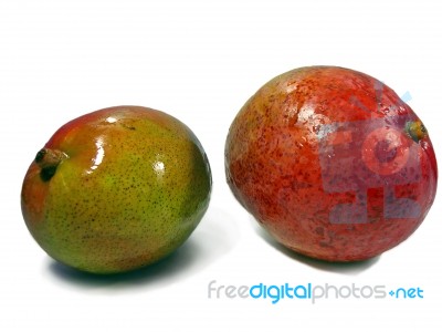 Two Mangos Stock Photo