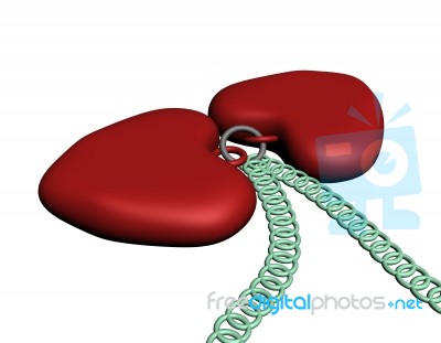 Two Red Hearts Necklace Stock Image