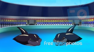 Two Smiling Dolphins In A Dolphinarium In The Early Morning Stock Image