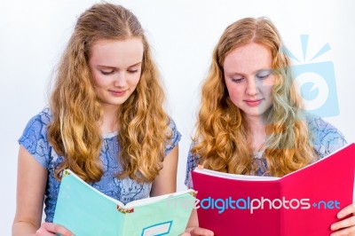 Two Teenage Girls Reading School Books Stock Photo