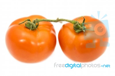 Two Tomato With Green Stem On White Background Stock Photo