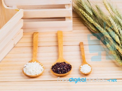 Two Types Of Milled Rice As Raw Ingredient Stock Photo