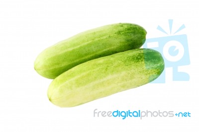 Two Whole Cucumbers On White Background Stock Photo