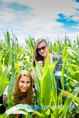 Two Young Girls Hiding In A Green Cornfield Stock Photo