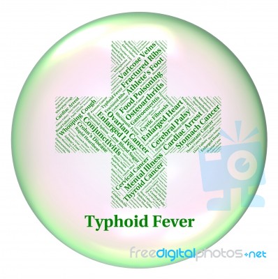 Typhoid Fever Indicates Symptomatic Bacterial Infection And Salm… Stock Image