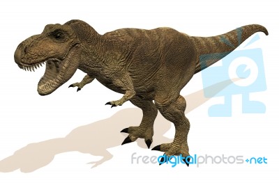 Tyrannosaurus Rex Stock Image