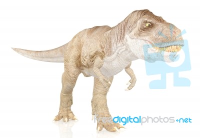 Tyrannosaurus Rex, Dinosaur Isolated On White Background Stock Image