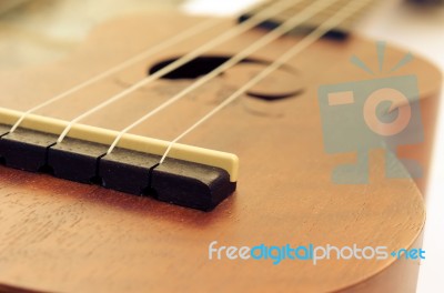 Ukulele White Background Stock Photo