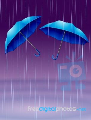 Umbrella Stock Image