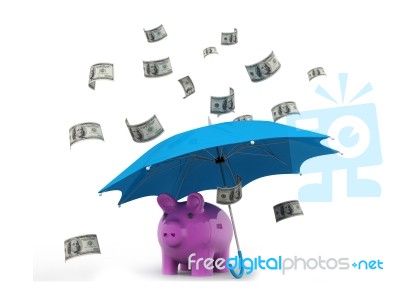 Umbrella Protect Your Money, Piggybank And Dollar Rain Stock Image