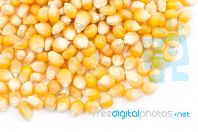 Uncooked Popcorn Stock Photo