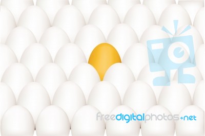 Unique Egg Stock Image