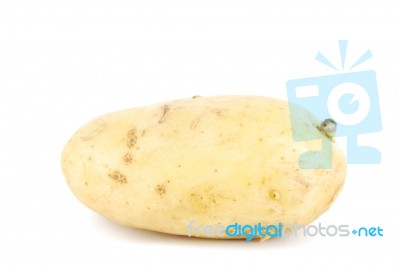 Unpeeled Yellow Potato On White Stock Photo