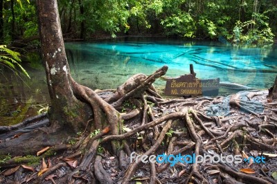 Unseen Blue Pool In Forest Stock Photo