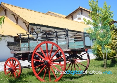 Uruguayan Dairy Farm Stock Photo