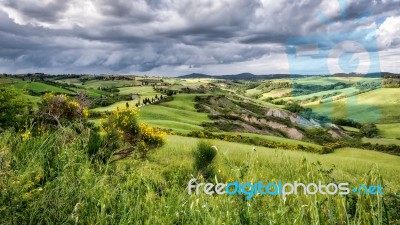 Val D'orcia In Tuscany Stock Photo