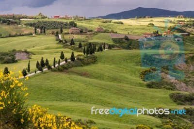 Val D'orcia In Tuscany Stock Photo