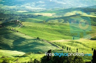 Val D'orcia, Tuscany/italy - May 16 : Countryside Of Val D'orcia… Stock Photo