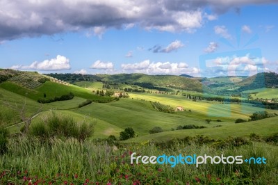 Val D'orcia, Tuscany/italy - May 17 : Farmland In Val D'orcia Tu… Stock Photo