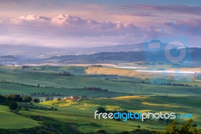 Val D'orcia, Tuscany/italy - May 21 : Farmland In Val D'orcia Tu… Stock Photo