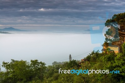 Val D'orcia, Tuscany/italy - May 22 : Farmland In Val D'orcia Tu… Stock Photo