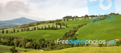 Val D'orcia, Tuscany/italy - May 22 : Scenery Of Val D'orcia In Stock Photo