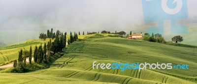 Val D'orcia, Tuscany/italy - May 22 : Scenery Of Val D'orcia In Stock Photo