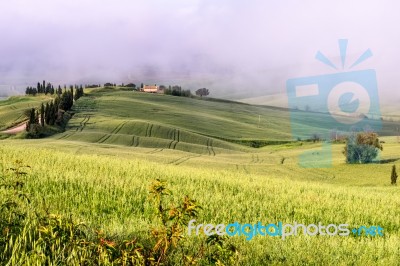 Val D'orcia, Tuscany/italy - May 22 : Scenery Of Val D'orcia In Stock Photo