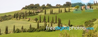 Val D'orcia, Tuscany/italy - May 22 : Scenery Of Val D'orcia In Stock Photo