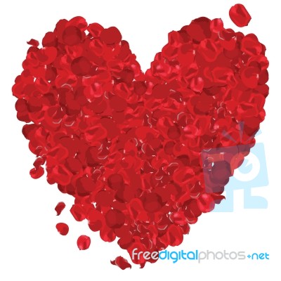 Valentines Day Heart Made Of Red Roses Isolated On White Background - Illustration Stock Image