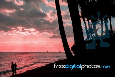 Valentines Day On Maui Stock Photo