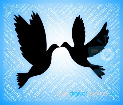 Valentines Doves Represents Boyfriend Lover And Romance Stock Image