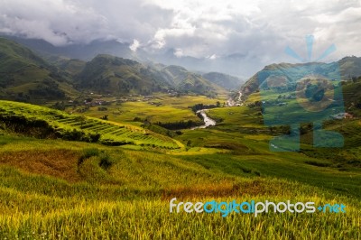 Valley With Rive Paddy Fields Stock Photo