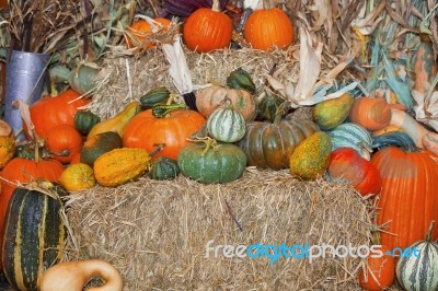 Variety Of Pumpkins On Hay Stock Photo