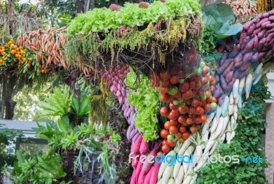 Variety Vegetables Displayed In Food Festival Stock Photo