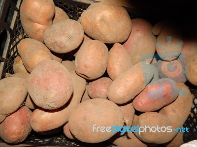 Various Food Growing And Cooked At Home Stock Photo