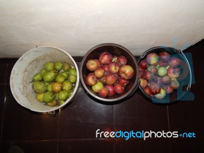 Various Food Growing And Cooked At Home Stock Photo