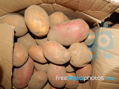 Various Food Growing And Cooked At Home Stock Photo