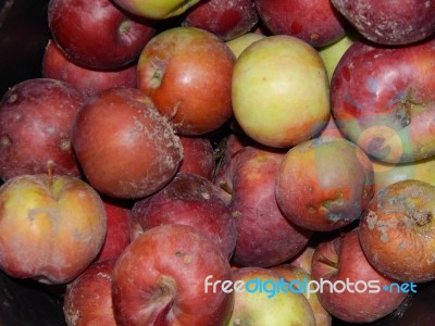 Various Food Growing And Cooked At Home Stock Photo