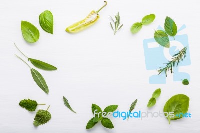 Various Fresh Herbs For Cooking Ingrediens Peppermint , Sweet Ba… Stock Photo