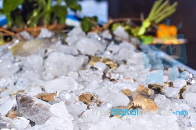 Various Fresh Seafood On Ice Exposition At The Outdoor Restauran… Stock Photo