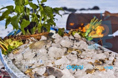 Various Fresh Seafood On Ice Exposition At The Outdoor Restauran… Stock Photo