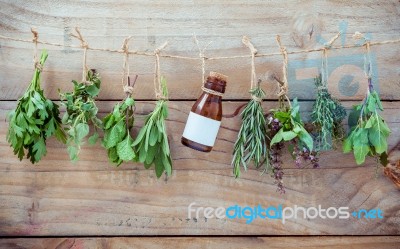 Various Herbs Hanging On Shabby Wooden Background.  Parsley ,ore… Stock Photo