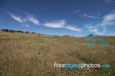 Vast Hills On Alentejo Stock Photo