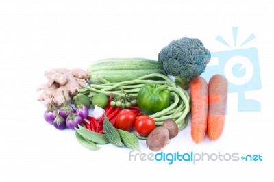 Vegetable Stock Photo