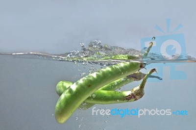 Vegetable Stock Photo