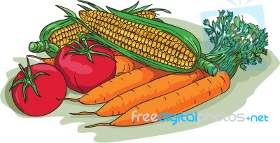 Vegetable Garden Crop Harvest Drawing Stock Image