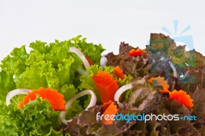 Vegetable Salad Stock Photo