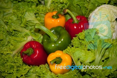 Vegetables Stock Photo