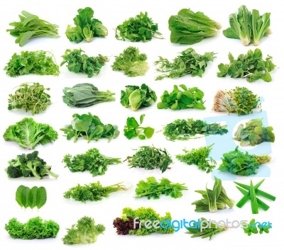 Vegetables Collection Isolated On White Background Stock Photo